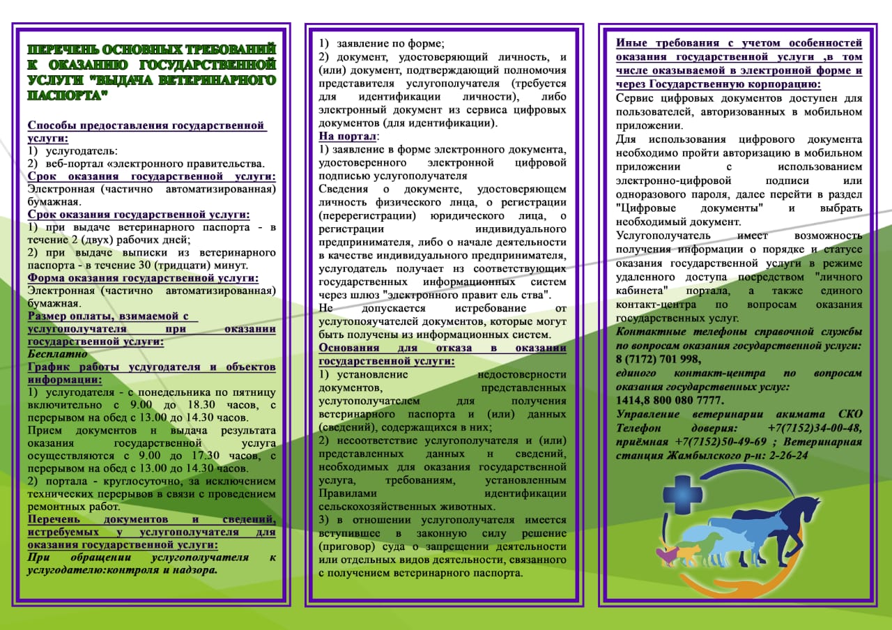 Перечень основных требований к оказанию государственной услуги &quot;Выдача ветеринарного паспорта&quot;