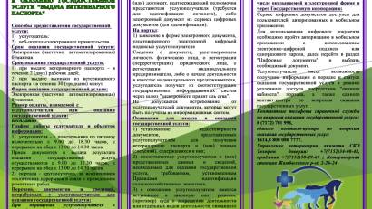 Перечень основных требований к оказанию государственной услуги &quot;Выдача ветеринарного паспорта&quot;