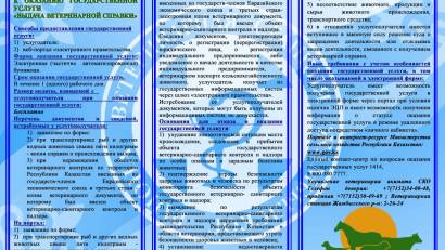 Перечень основных требований к оказанию государственной услуги &quot;Выдача ветеринарной справки