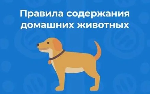 Үй жануарларын ұстау және серуендету ережелері