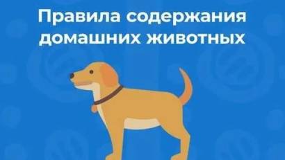 Үй жануарларын ұстау және серуендету ережелері
