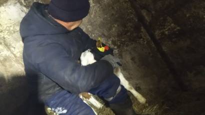 Уважаемые жители Жамбылского района!