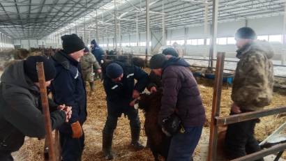 Ветеринарные мероприятия как залог эпизоотического благополучия
