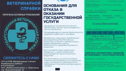 Перечень основных требований к оказанию государственной услуги «Выдача ветеринарных справок».