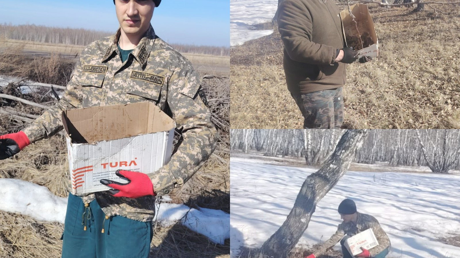 Профилактика бешенство у диких животных