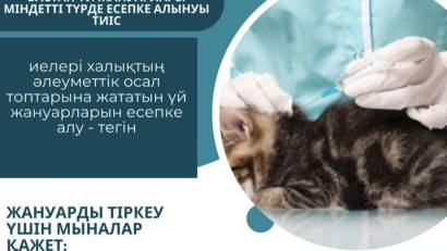 Продолжается работа по чипированию домашних собак и кошек