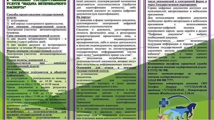 Перечень основных требований к оказанию государственной услуги «Выдача ветеринарного паспорта».